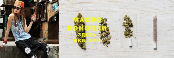 тгк Алексин