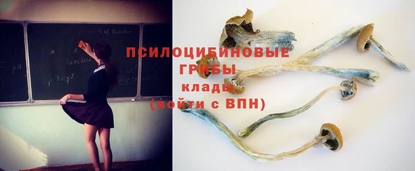 тгк Алексин