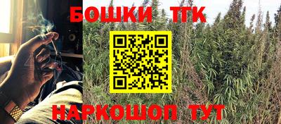 прущие крисы Кимры
