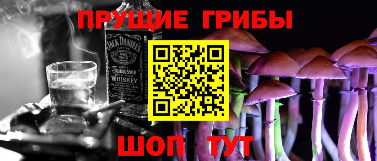 Галлюциногенные грибы мицелий  Вход с VPN  где купить наркоту  Глазов  Псилоцибиновые грибы Psilocybine cubensis 